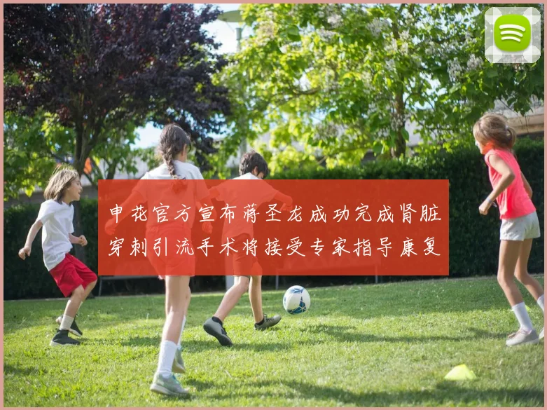 申花官方宣布蒋圣龙成功完成肾脏穿刺引流手术将接受专家指导康复治疗